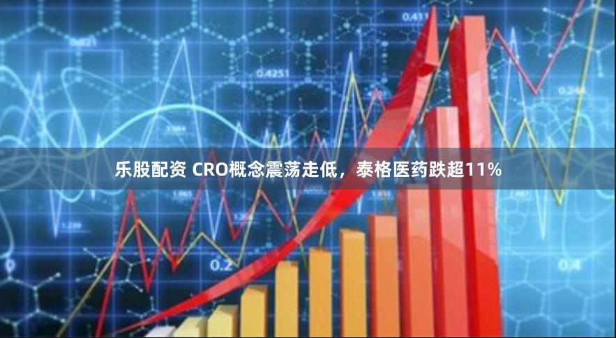 乐股配资 CRO概念震荡走低，泰格医药跌超11%