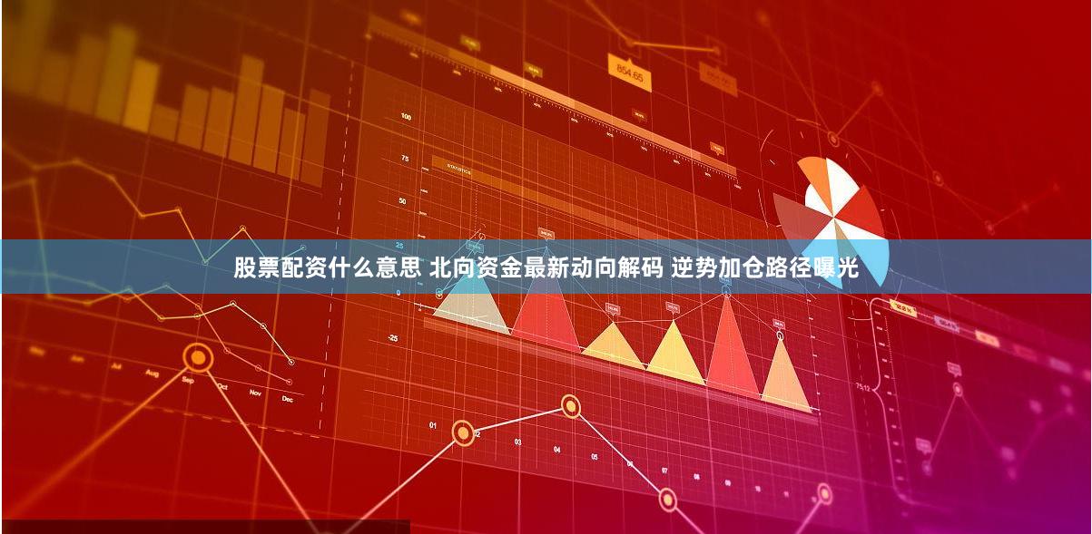 股票配资什么意思 北向资金最新动向解码 逆势加仓路径曝光