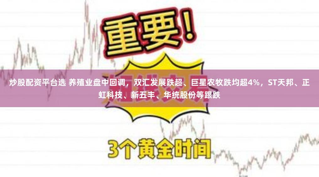 炒股配资平台选 养殖业盘中回调，双汇发展跌超、巨星农牧跌均超4%，ST天邦、正虹科技、新五丰、华统股份等跟跌